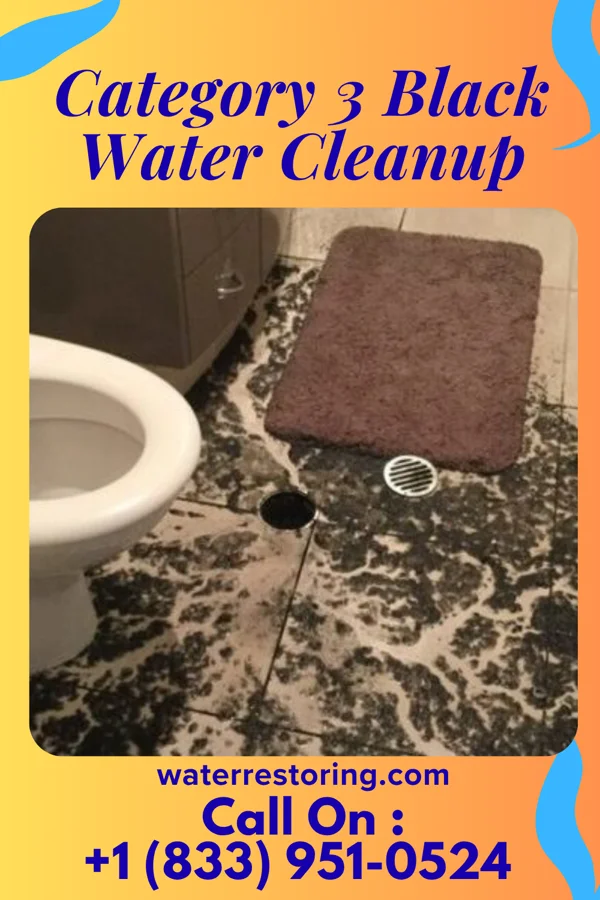 Category 3 Black Water Cleanup in Easton, MO