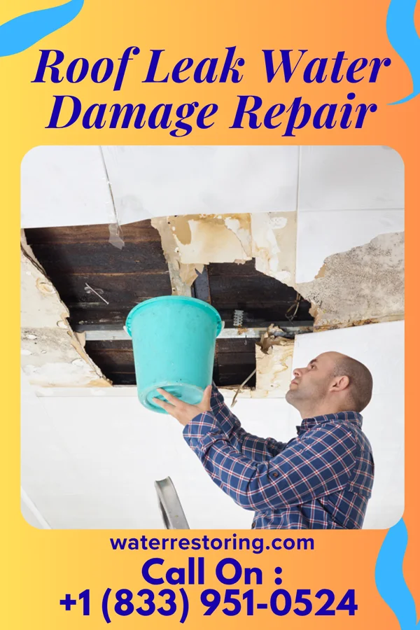 Roof Leak Water Damage Repair in Easton, MO
